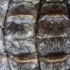 Fluwelen Lampenkap met Krokodil Print 20 x 20 cm - Afbeelding 3