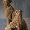 Ornament Cheetah/Luipaard Stel Bruin Fluweel - Afbeelding 2