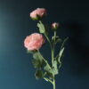 Kunst Zijde Bloem Ranonkel Roze