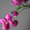 Kunst Zijde Bloem Bougainville Paars kort - Afbeelding 2