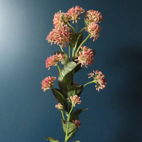 Kunst Kruid Sedum Roze Bloemen