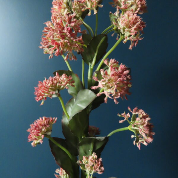 Kunst Kruid Sedum Roze Bloemen - Afbeelding 2