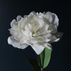 Kunst Zijde PioenTulp Wit