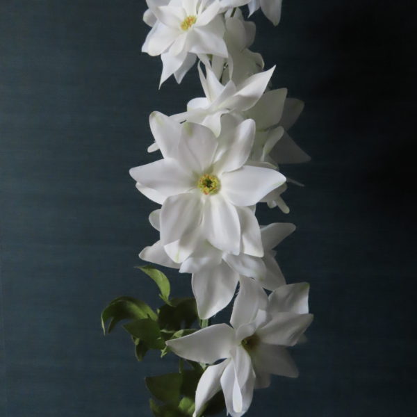 Verzadigen Zogenaamd Gloed Kunst Delphinium met Grote Witte Bloemen