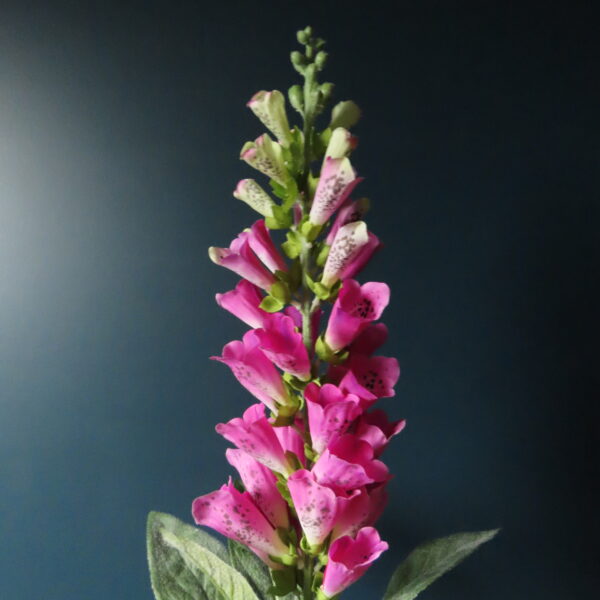 Kunst Zijde Bloem Digitalis/Vingerhoedskruid Roze - Afbeelding 2