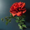 Grote Kunst Roos met Oranje/Rood Gekruld Bloem Blad - Afbeelding 3