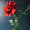Grote Kunst Roos met Oranje/Rood Gekruld Bloem Blad