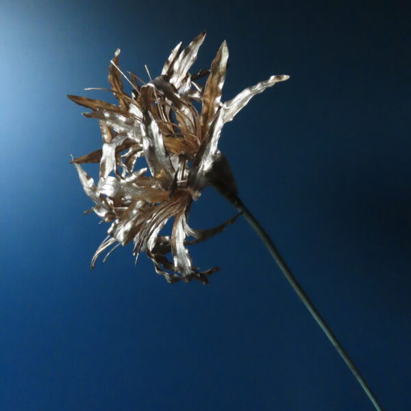 Kunst Bloem Nerine/Kliplelie Goud