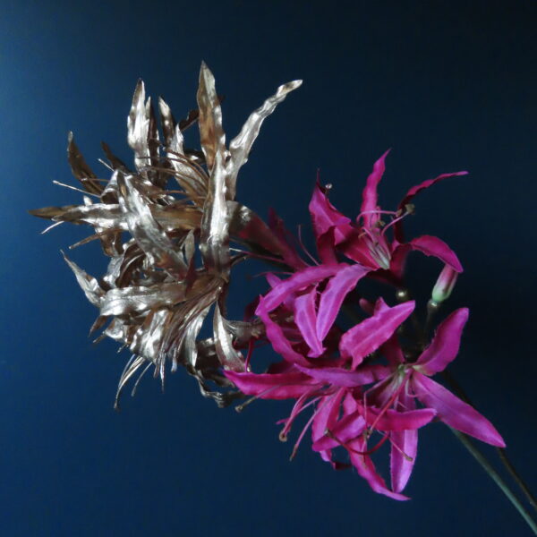 Kunst Bloem Nerine/Kliplelie Goud - Afbeelding 3