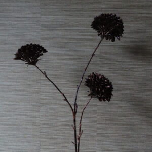 Artistieke Dahlia Bruin/Brons met 3 Bollen