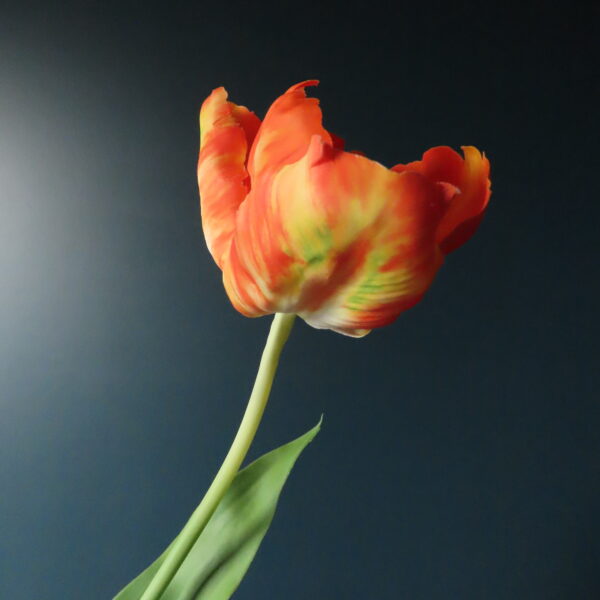 Groene Tulpen Vaas Jasmijn met Tulpen en Bloemen - Afbeelding 5