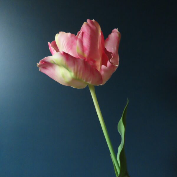 Groene Tulpen Vaas Jasmijn met Tulpen en Bloemen - Afbeelding 10