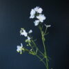Kunst Zijde Bloem Larkspur/Delphinium Lichtblauw
