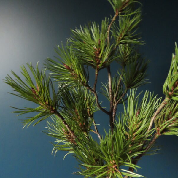 Kunst Dennen Tak Pinus Groen - Afbeelding 3