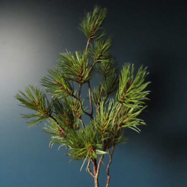 Kunst Dennen Tak Pinus Groen - Afbeelding 2