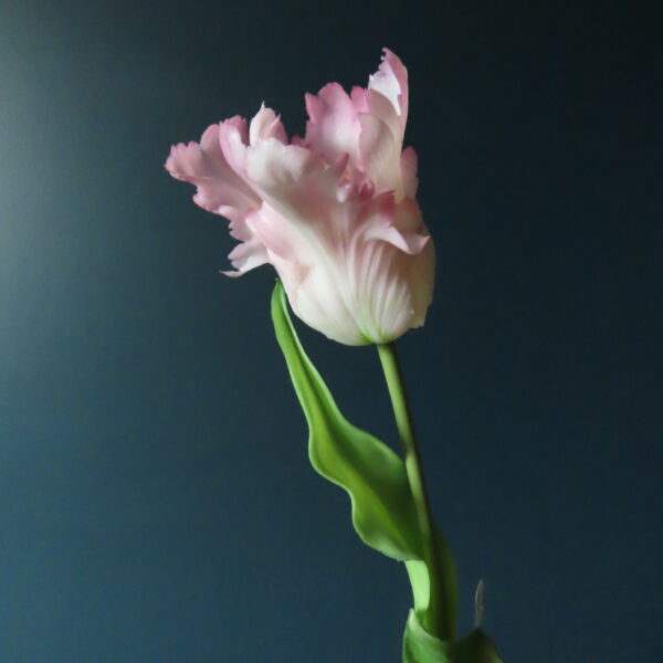 Kunst French Tulip Wit/Roze/Groen - Afbeelding 2