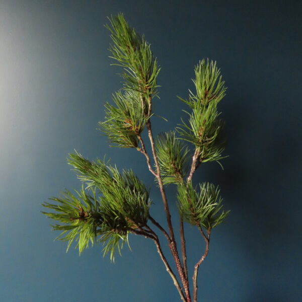 Kunst Dennen Tak Pinus Groen