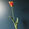 Kunst Dutch Tulp Oranje/Geel - Afbeelding 3