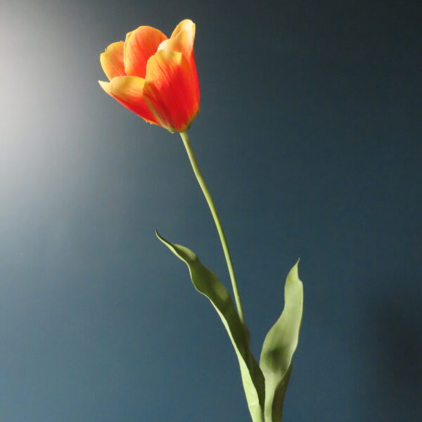 Kunst Dutch Tulp Oranje/Geel - Afbeelding 2