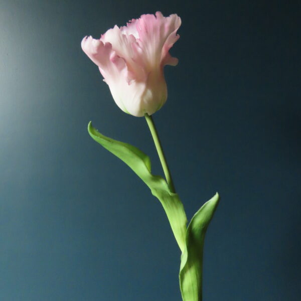 Kunst French Tulip Wit/Roze/Groen - Afbeelding 3