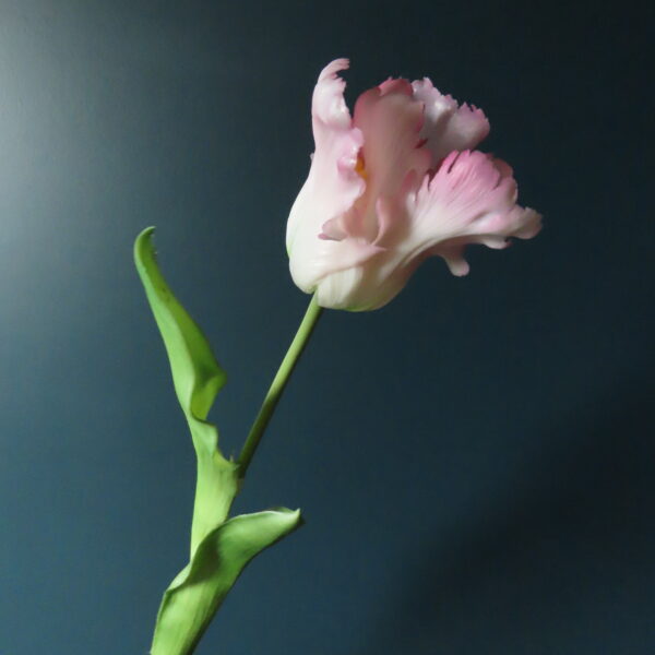 Groene Tulpen Vaas Chloë met Tulpen en Bloemen - Afbeelding 8