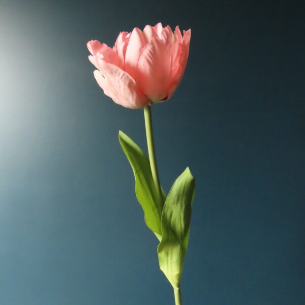 Groene Tulpen Vaas Chloë met Tulpen en Bloemen - Afbeelding 11