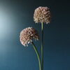 Set van 2 Allium Lila Kunst Bloemen