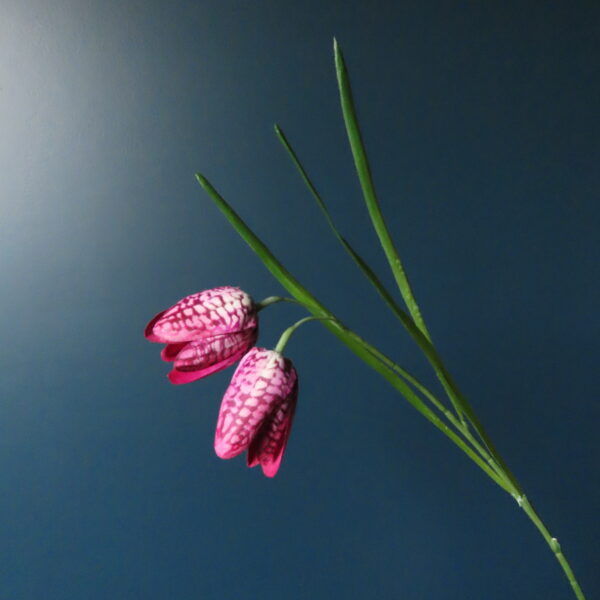 Kunst Tulpen Boeket Roze/Mauve met Hazelaar en Fritillaria - Afbeelding 7