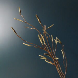 Kunst Tak Hazelaar Licht Groen M