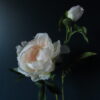 Kunst Zijde Pioenroos Soft Peach