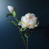 Kunst Zijde Pioenroos Soft Peach - Afbeelding 2