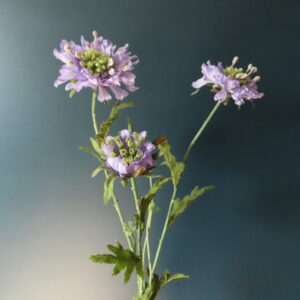 Kunst Zijde Bloem Scabiosa Lavendel