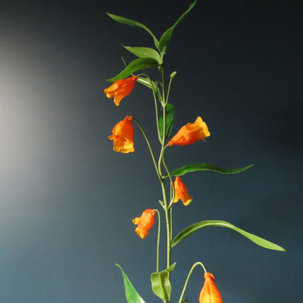 Kunst Zijde Sandersonia Aurantiaca Oranje - Afbeelding 2