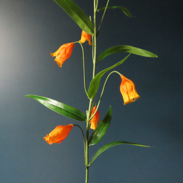 Kunst Zijde Sandersonia Aurantiaca Oranje - Afbeelding 3