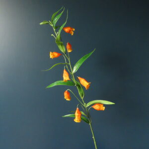 Kunst Zijde Sandersonia Aurantiaca Oranje