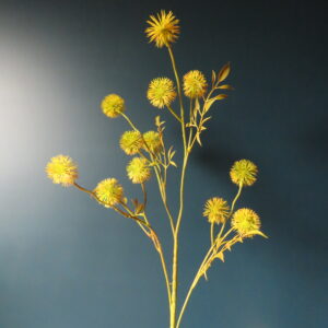 Kunst Paardenbloem Gele Bloemen