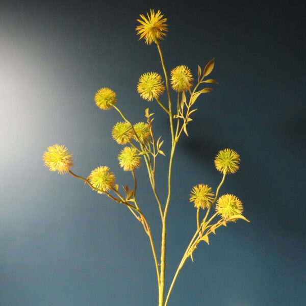 Kunst Paardenbloem Gele Bloemen