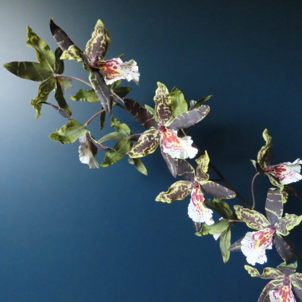 Kunst Zijde Orchidee Oncidium Bordeaux