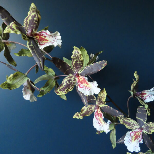 Kunst Zijde Orchidee Oncidium Bordeaux - Afbeelding 3