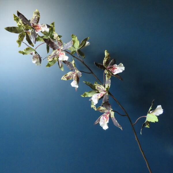 Kunst Zijde Orchidee Oncidium Bordeaux - Afbeelding 2
