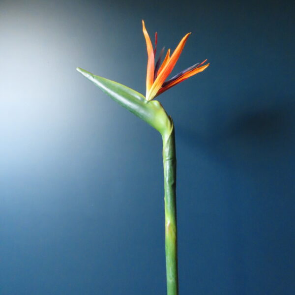 Kunst Bloem Strelitzia Oranje/Paars - Afbeelding 2