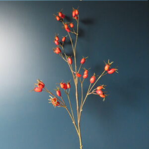 Kunst Tak met Oranje Rozenbottels