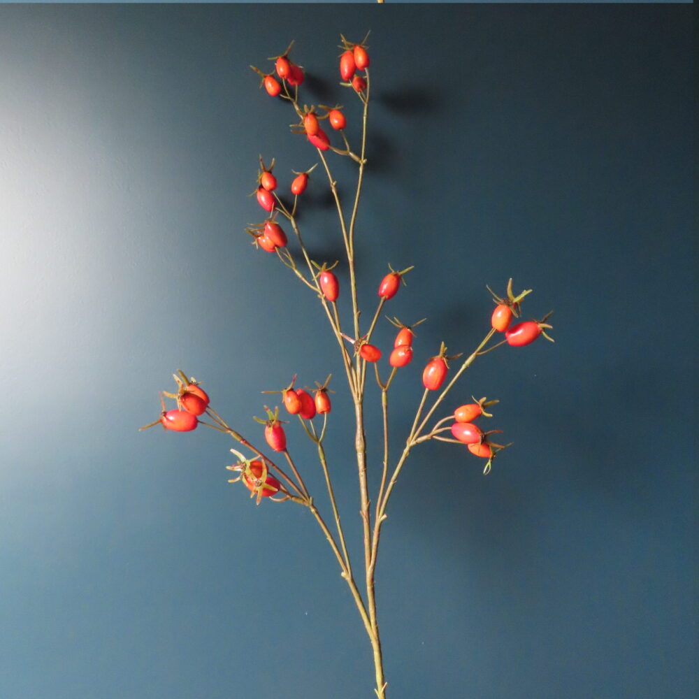 Kunst Tak met Oranje Rozenbottels