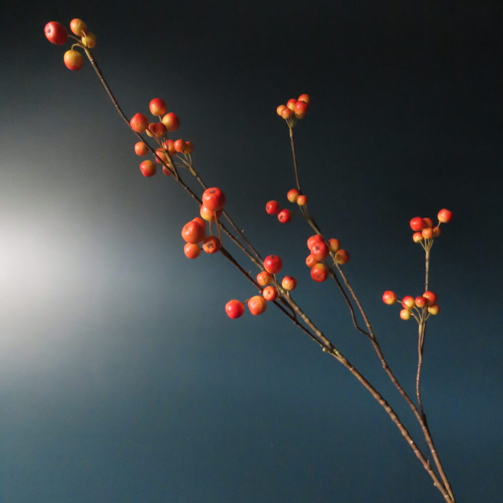 Kunst Tak met Mini Granaatappels Oranje/Geel