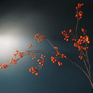 Kunst Tak met Oranje Bessen