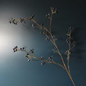 Kunst Tak Blueberry met Donker Blauwe Bessen