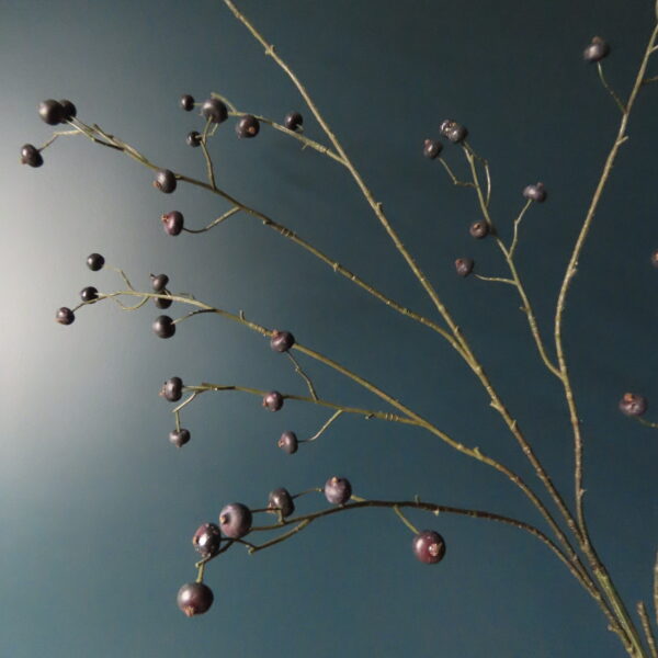 Kunst Bessen Tak met Juicy Blauwe Bessen - Afbeelding 2
