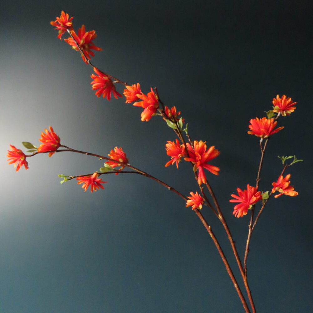 Artistieke Kersen Bloesem met Oranje Bloemen