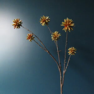 Kunst Tak Camptotheca/Levensboom