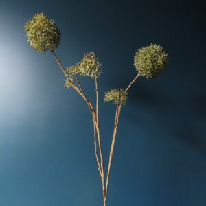 Kunst Eupatorium/Koninginnenkruid Groen